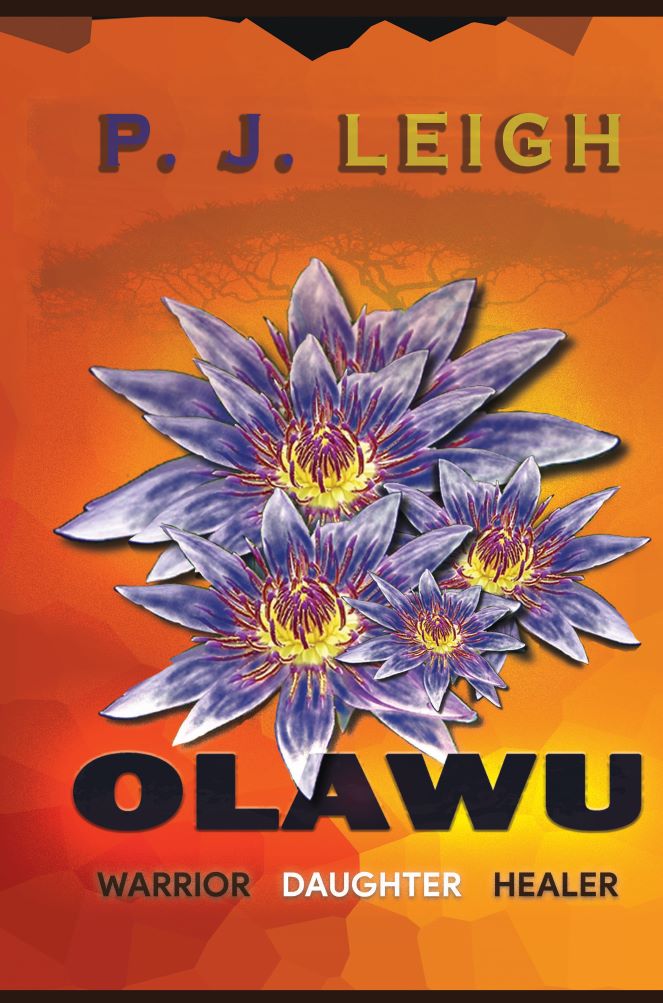 3d book display image of Olawu